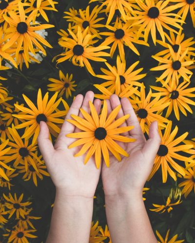Close-up of hands holding vibrant yellow daisies, showcasing natural beauty and floral pattern.